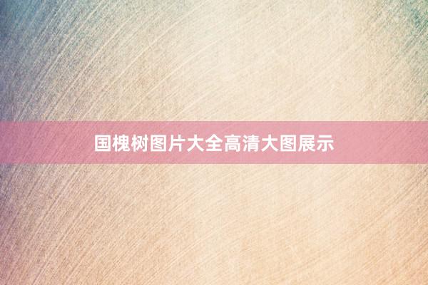 国槐树图片大全高清大图展示