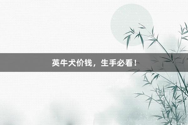 英牛犬价钱，生手必看！