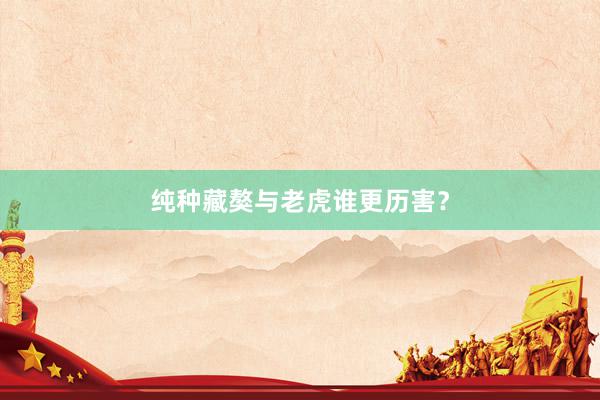 纯种藏獒与老虎谁更历害？