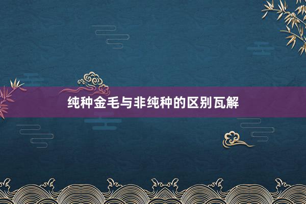 纯种金毛与非纯种的区别瓦解
