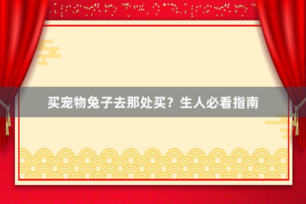 买宠物兔子去那处买？生人必看指南