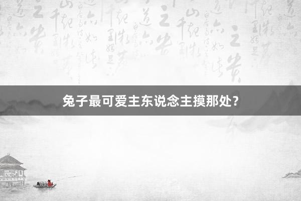 兔子最可爱主东说念主摸那处？